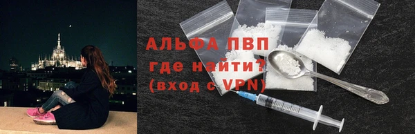 индика Гусь-Хрустальный