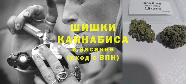 эйфоретик Гусев