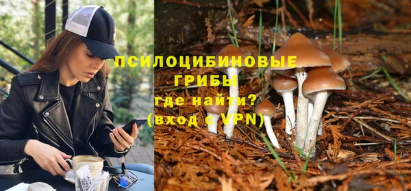 меф Дмитров