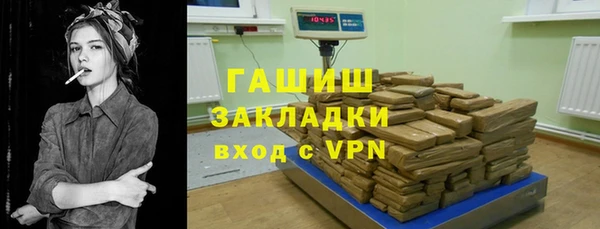 индика Гусь-Хрустальный