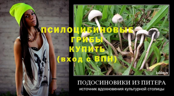 mdpv Дмитровск