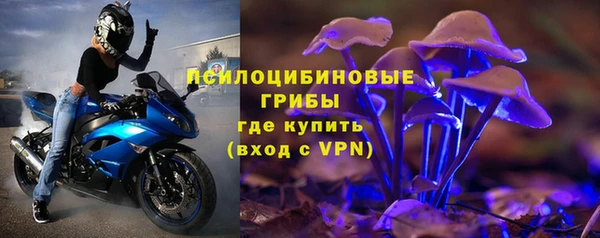 дживик Ельня