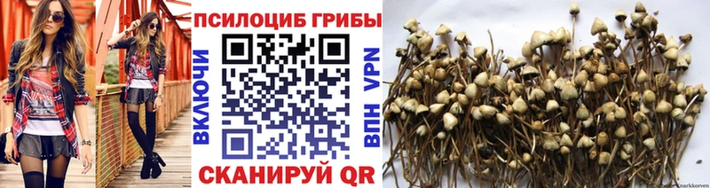 Галлюциногенные грибы MAGIC MUSHROOMS  Купить  Кириши 